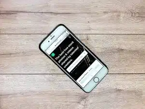 Custom Business Application - Michigan Next Generation Technology